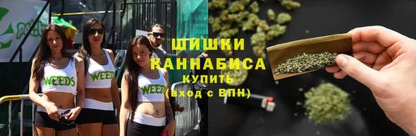 спиды Новозыбков