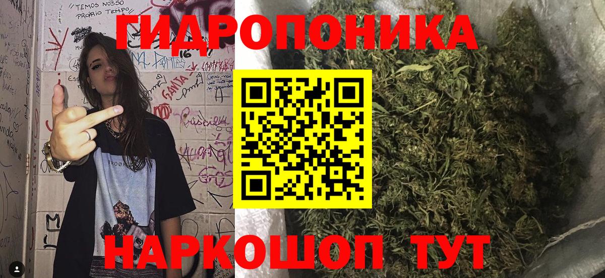 Шишки марихуана сатива Краснодар